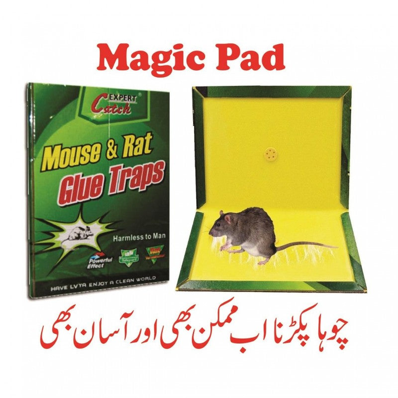 Pack of 2 Expert Catch Mouse Glue Traps
