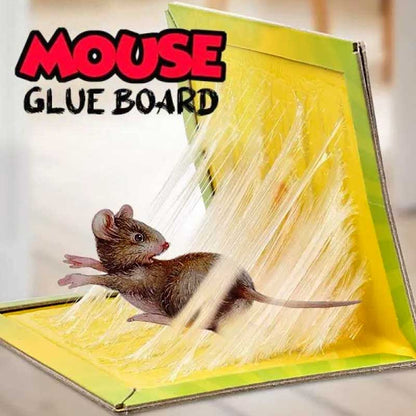 Pack of 2 Expert Catch Mouse Glue Traps