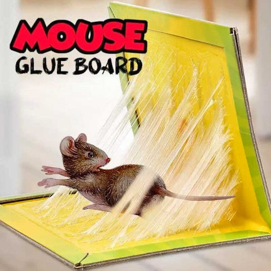 Pack of 2 Expert Catch Mouse Glue Traps